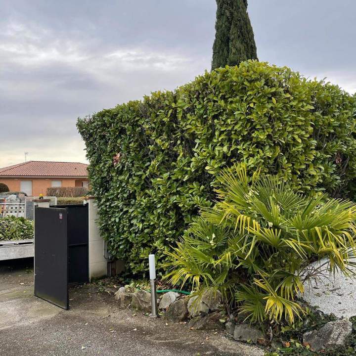 Service de création de jardins Quint-Fonsegrives