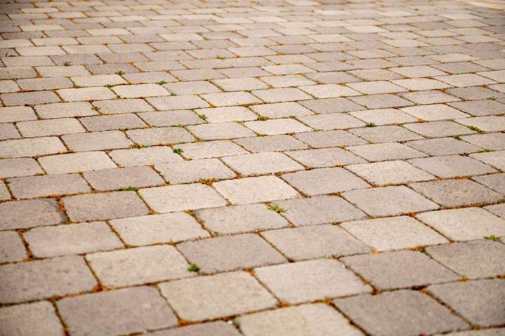 Entretien de jardins Quint-Fonsegrives