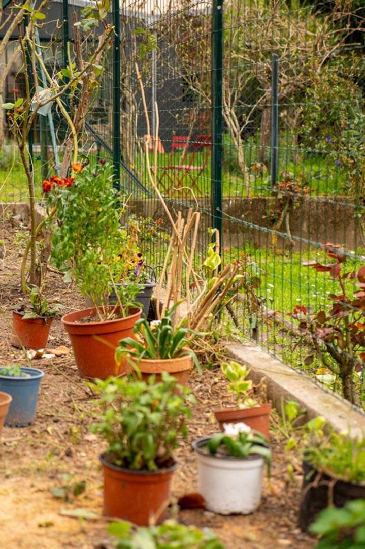 Création de jardins Quint-Fonsegrives